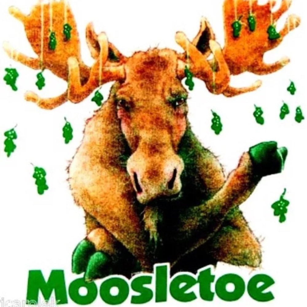 Christmas Moose Short Sleeved T-shirt Unisex Sizes